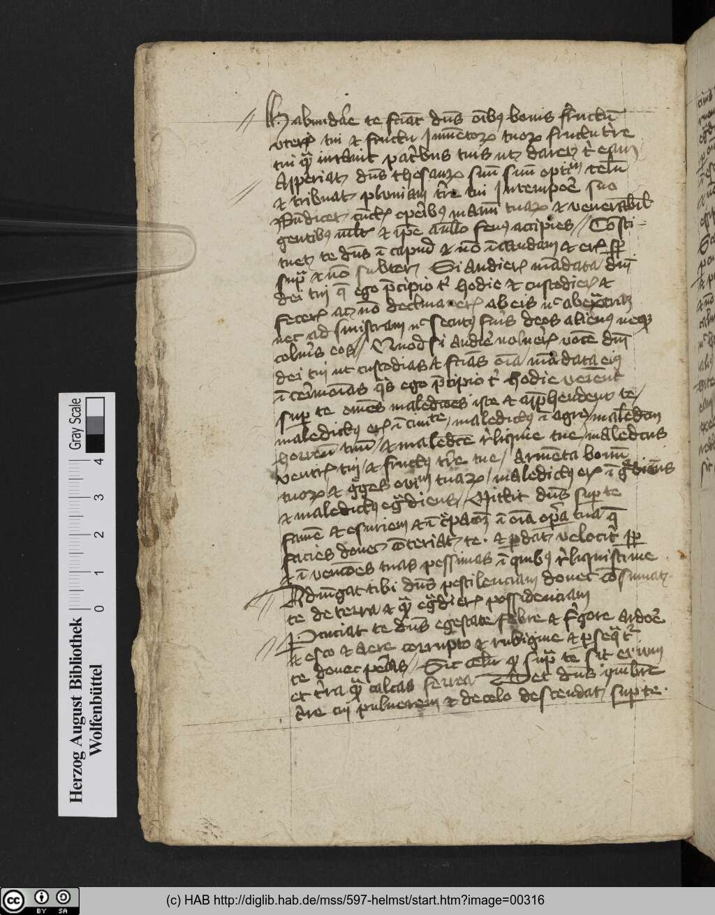 http://diglib.hab.de/mss/597-helmst/00316.jpg