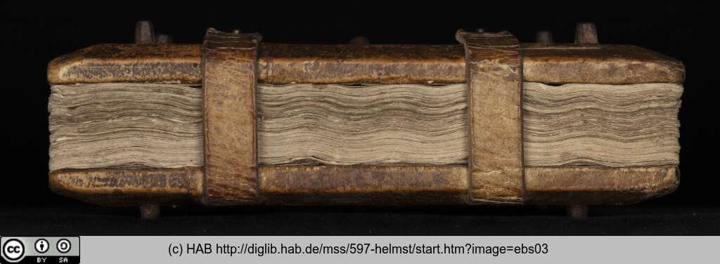 http://diglib.hab.de/mss/597-helmst/ebs03.jpg