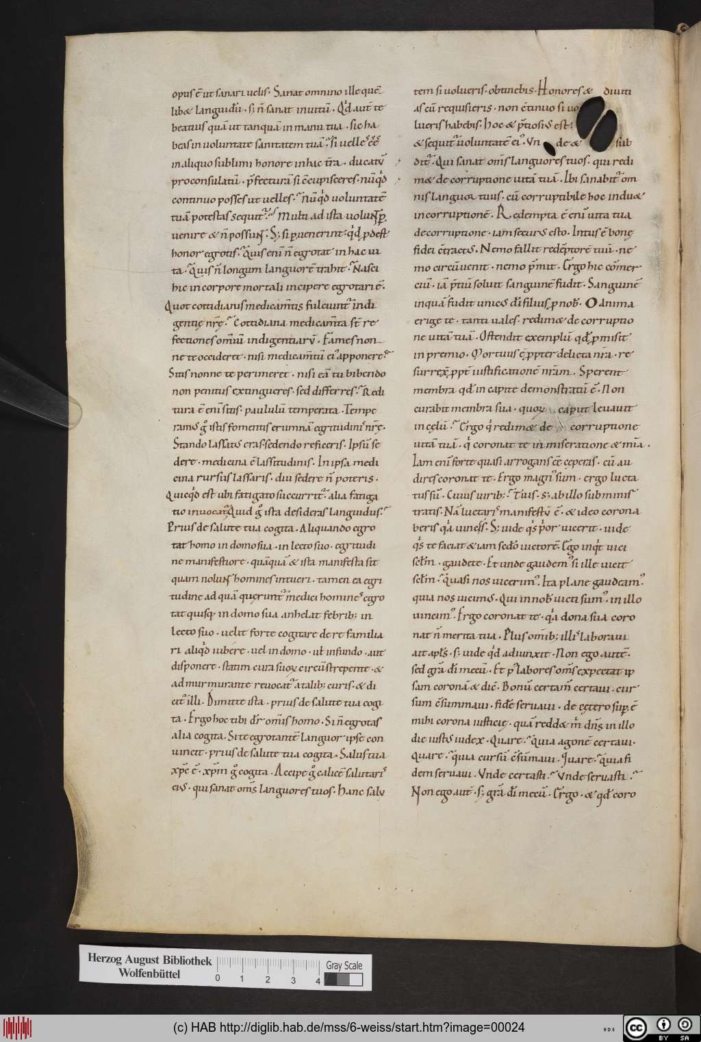 http://diglib.hab.de/mss/6-weiss/00024.jpg