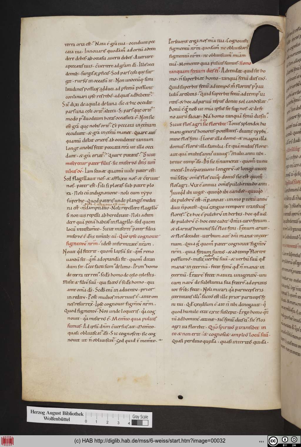 http://diglib.hab.de/mss/6-weiss/00032.jpg