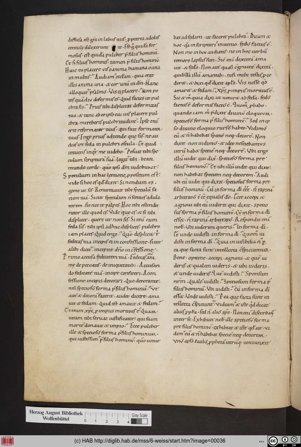 http://diglib.hab.de/mss/6-weiss/00036.jpg