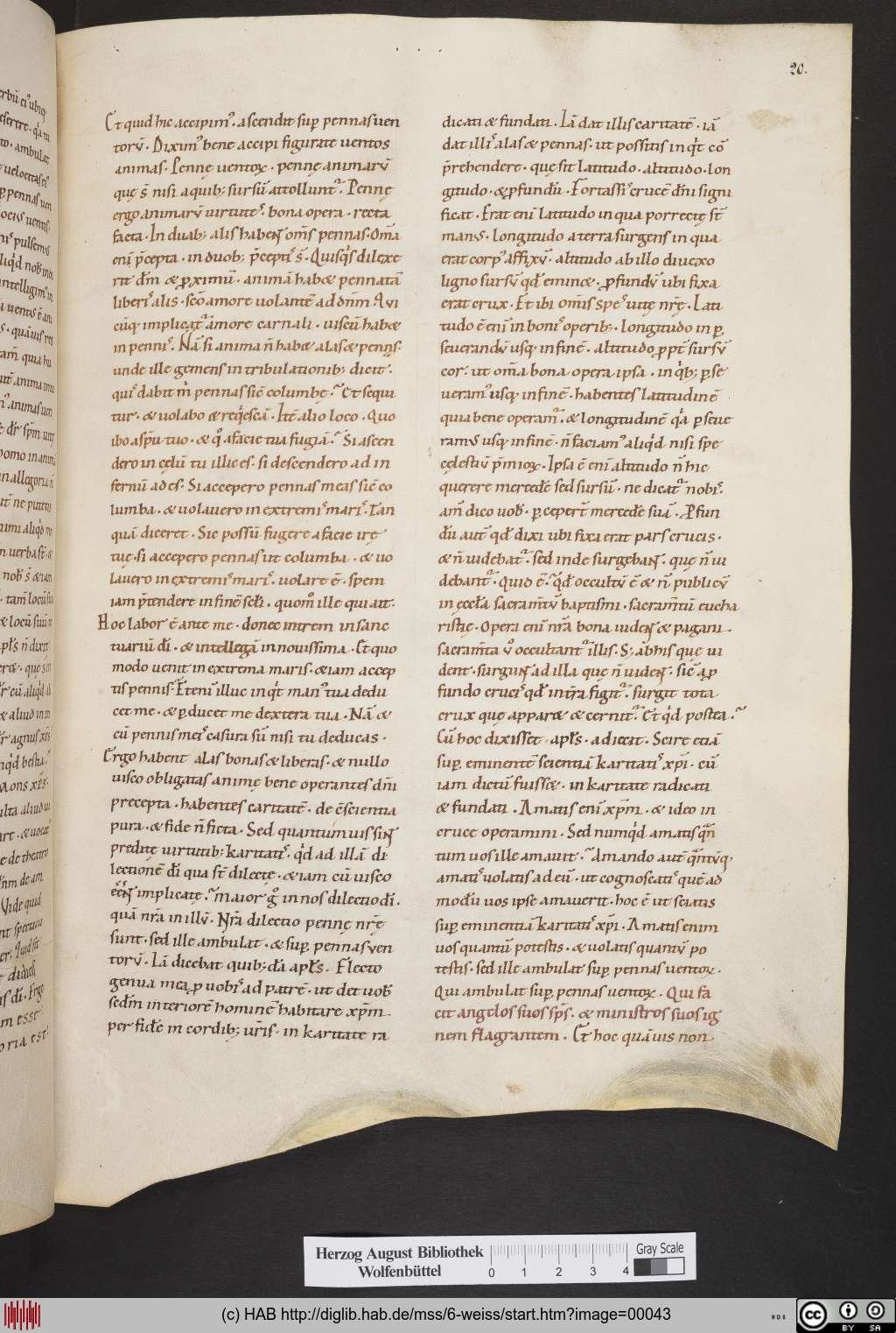 http://diglib.hab.de/mss/6-weiss/00043.jpg