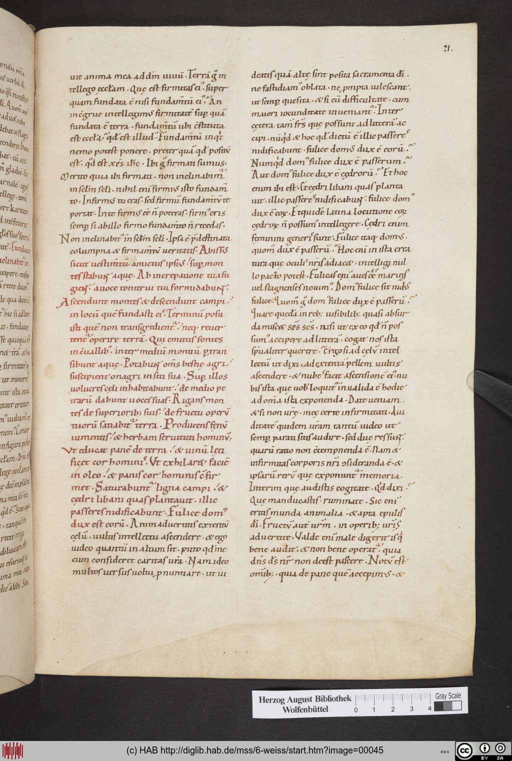 http://diglib.hab.de/mss/6-weiss/00045.jpg