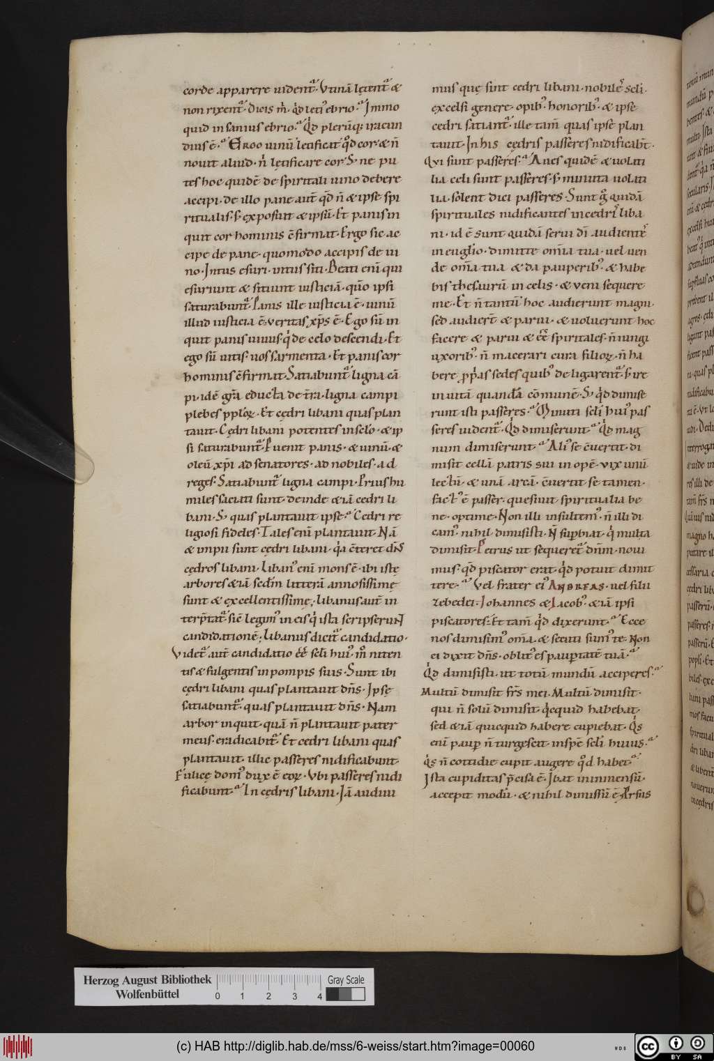http://diglib.hab.de/mss/6-weiss/00060.jpg
