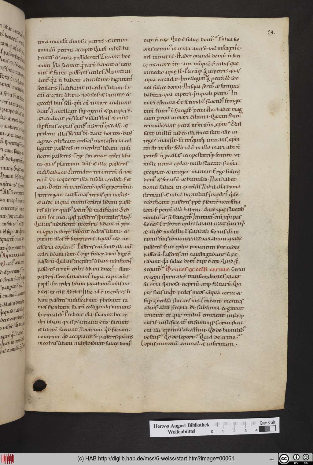 http://diglib.hab.de/mss/6-weiss/00061.jpg