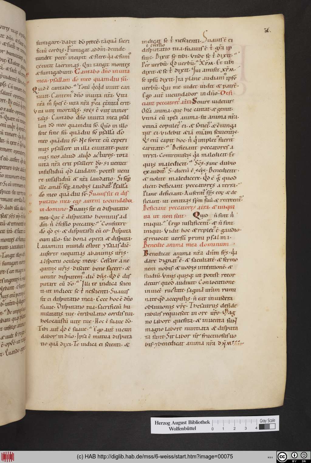 http://diglib.hab.de/mss/6-weiss/00075.jpg