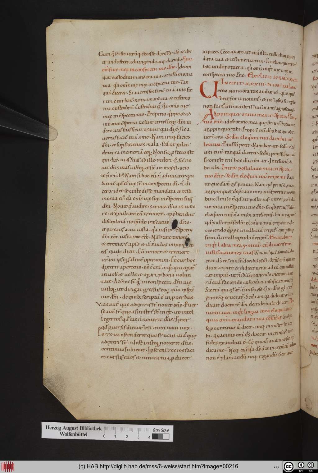 http://diglib.hab.de/mss/6-weiss/00216.jpg