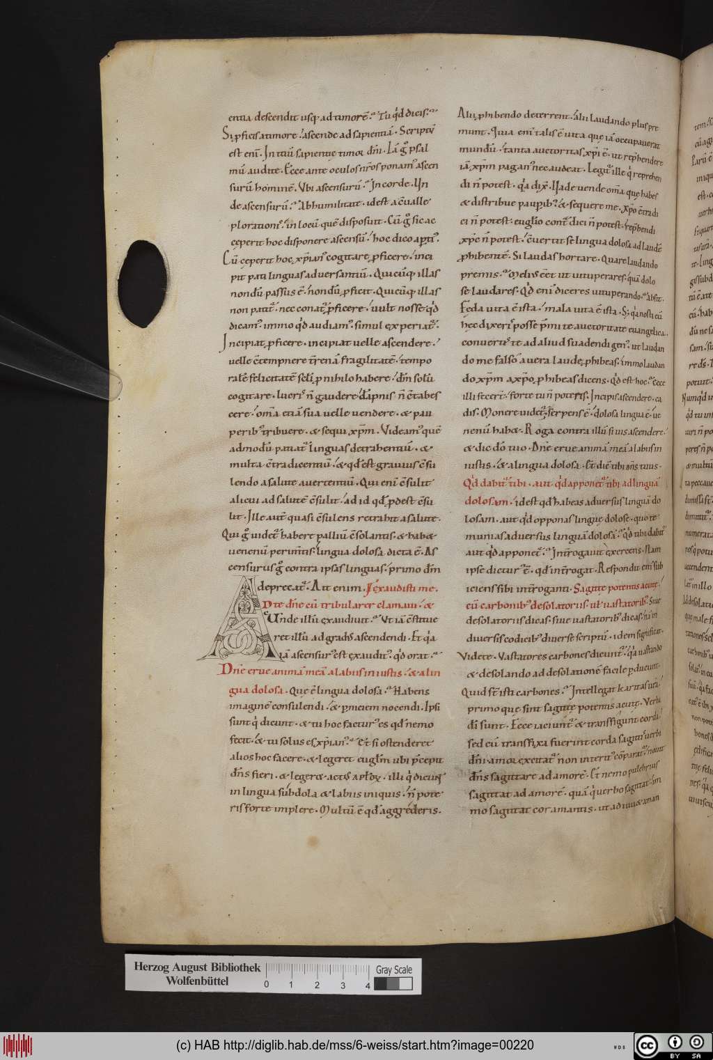 http://diglib.hab.de/mss/6-weiss/00220.jpg