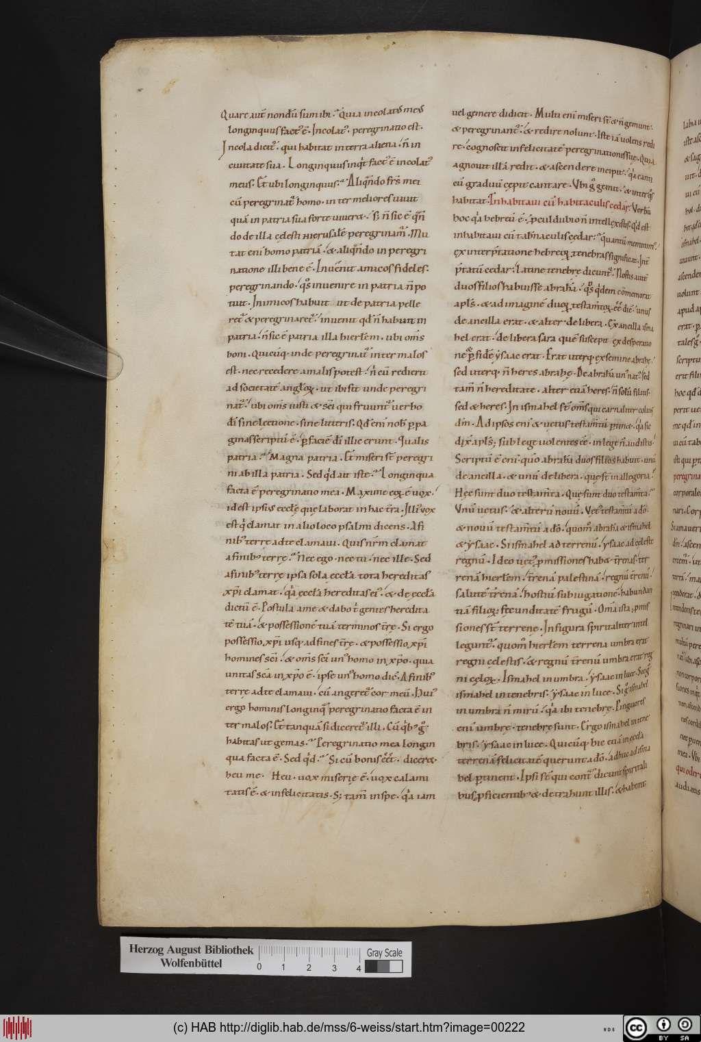http://diglib.hab.de/mss/6-weiss/00222.jpg