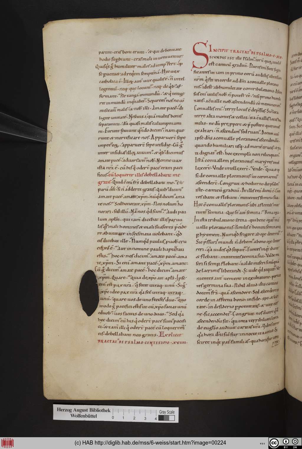 http://diglib.hab.de/mss/6-weiss/00224.jpg