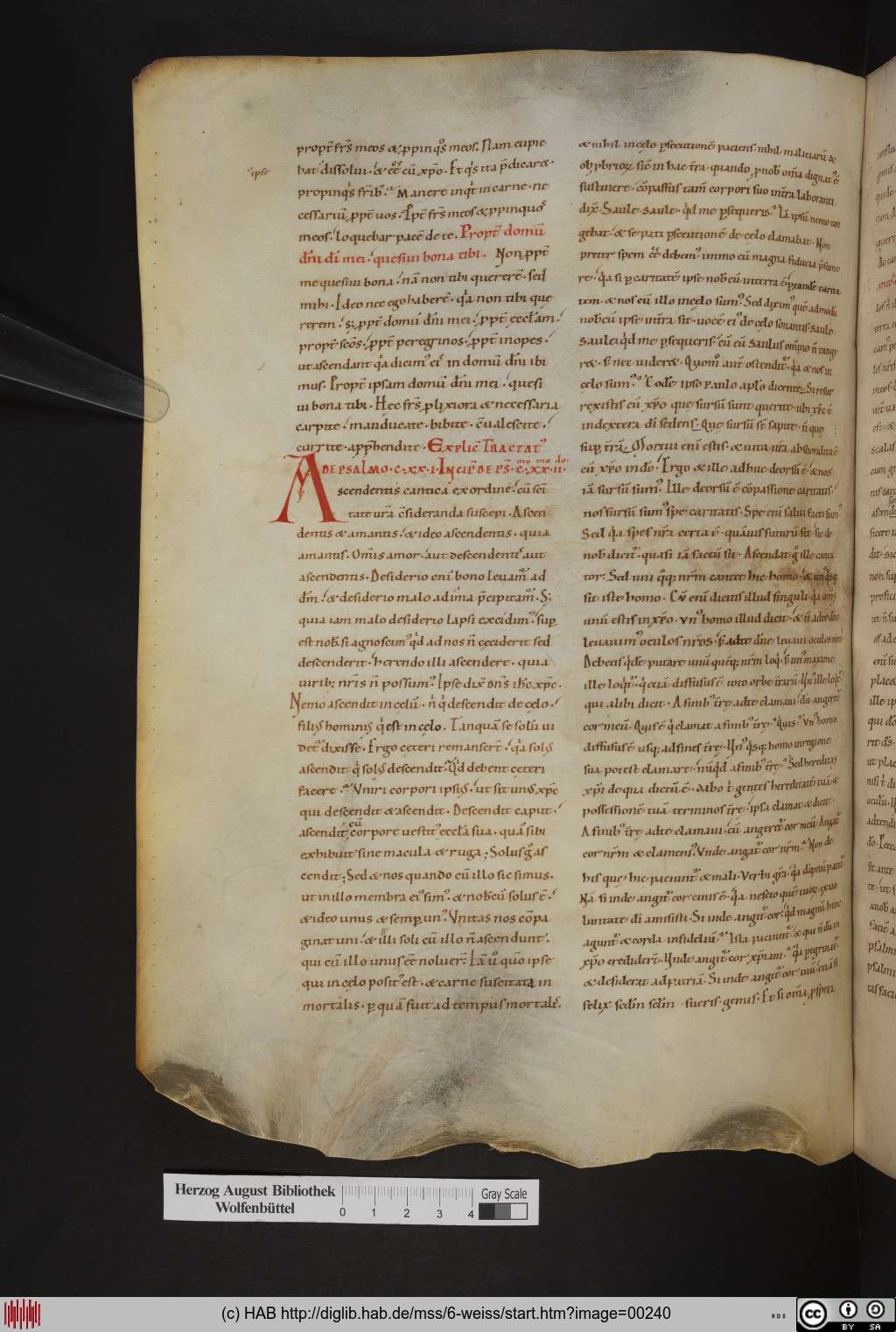 http://diglib.hab.de/mss/6-weiss/00240.jpg