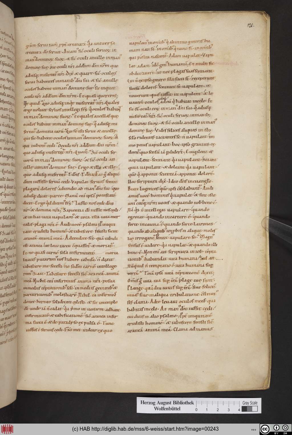 http://diglib.hab.de/mss/6-weiss/00243.jpg