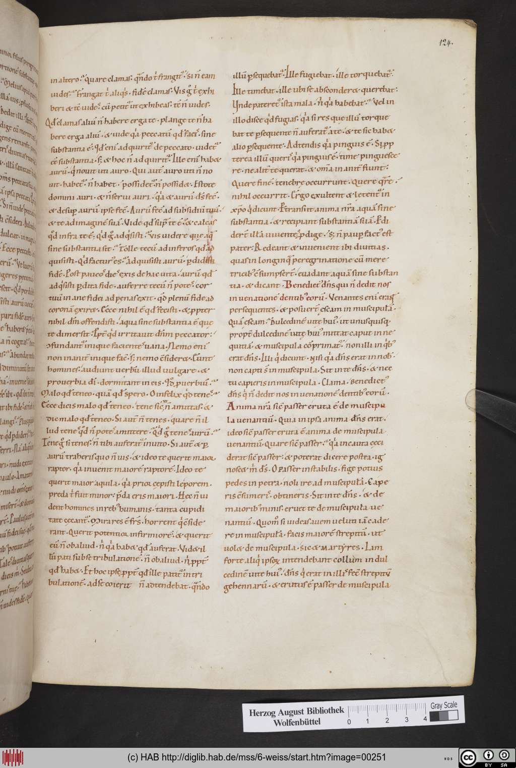 http://diglib.hab.de/mss/6-weiss/00251.jpg