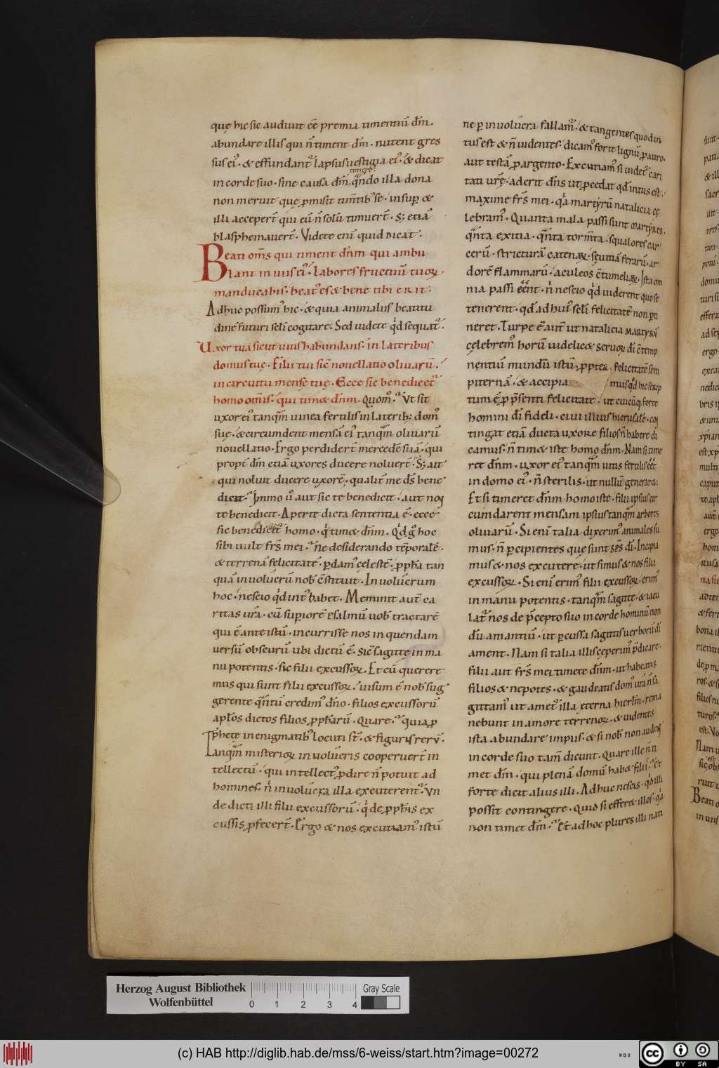 http://diglib.hab.de/mss/6-weiss/00272.jpg