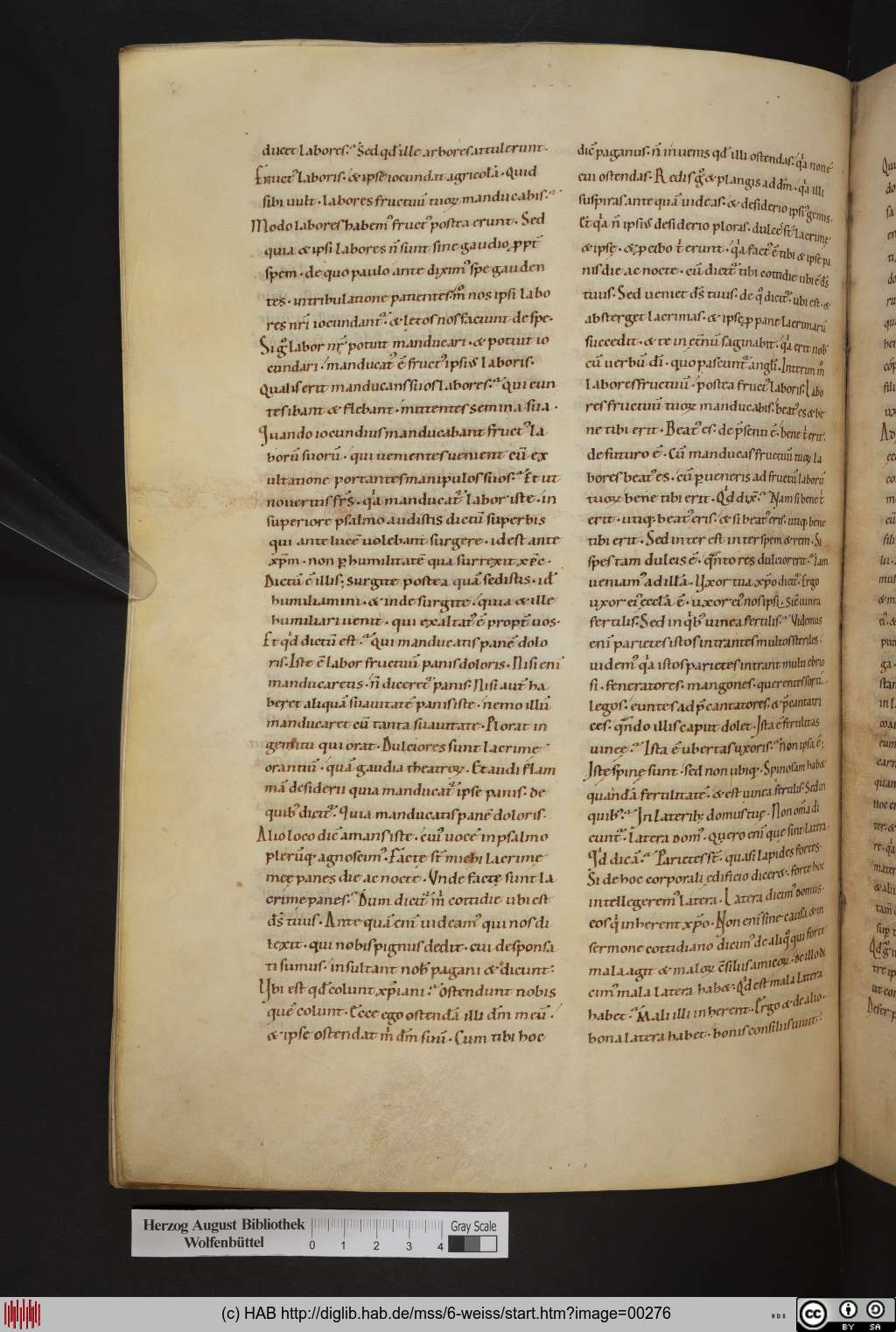 http://diglib.hab.de/mss/6-weiss/00276.jpg