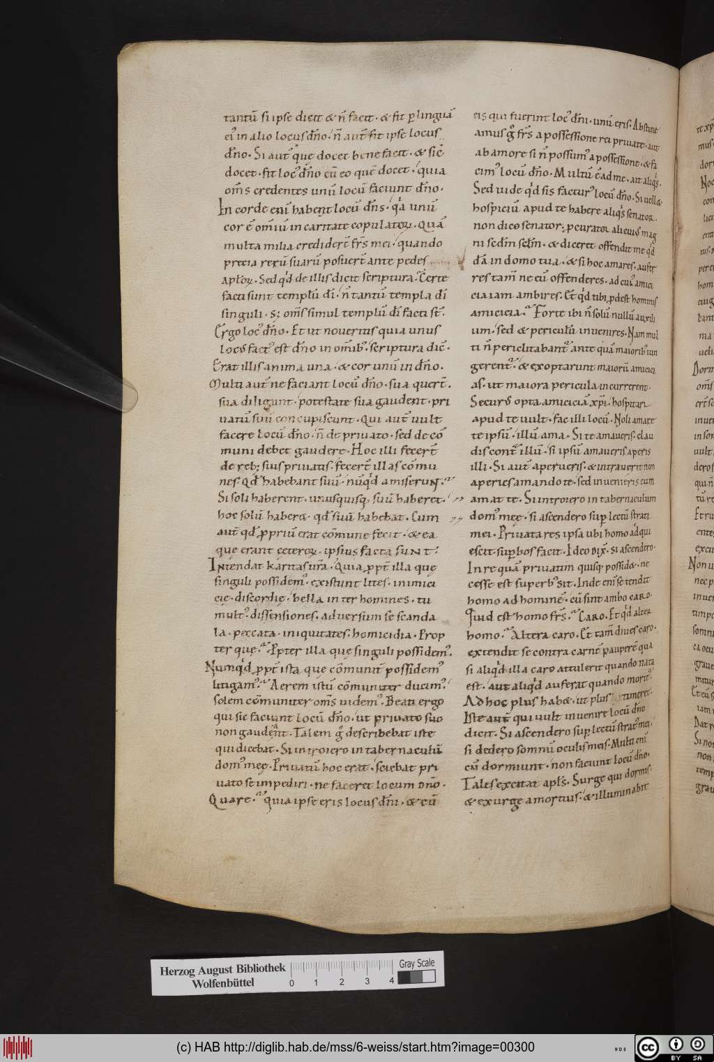 http://diglib.hab.de/mss/6-weiss/00300.jpg