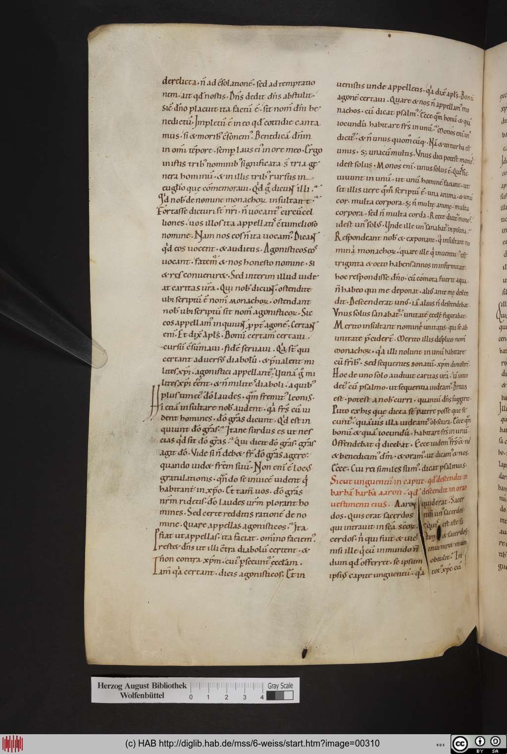 http://diglib.hab.de/mss/6-weiss/00310.jpg