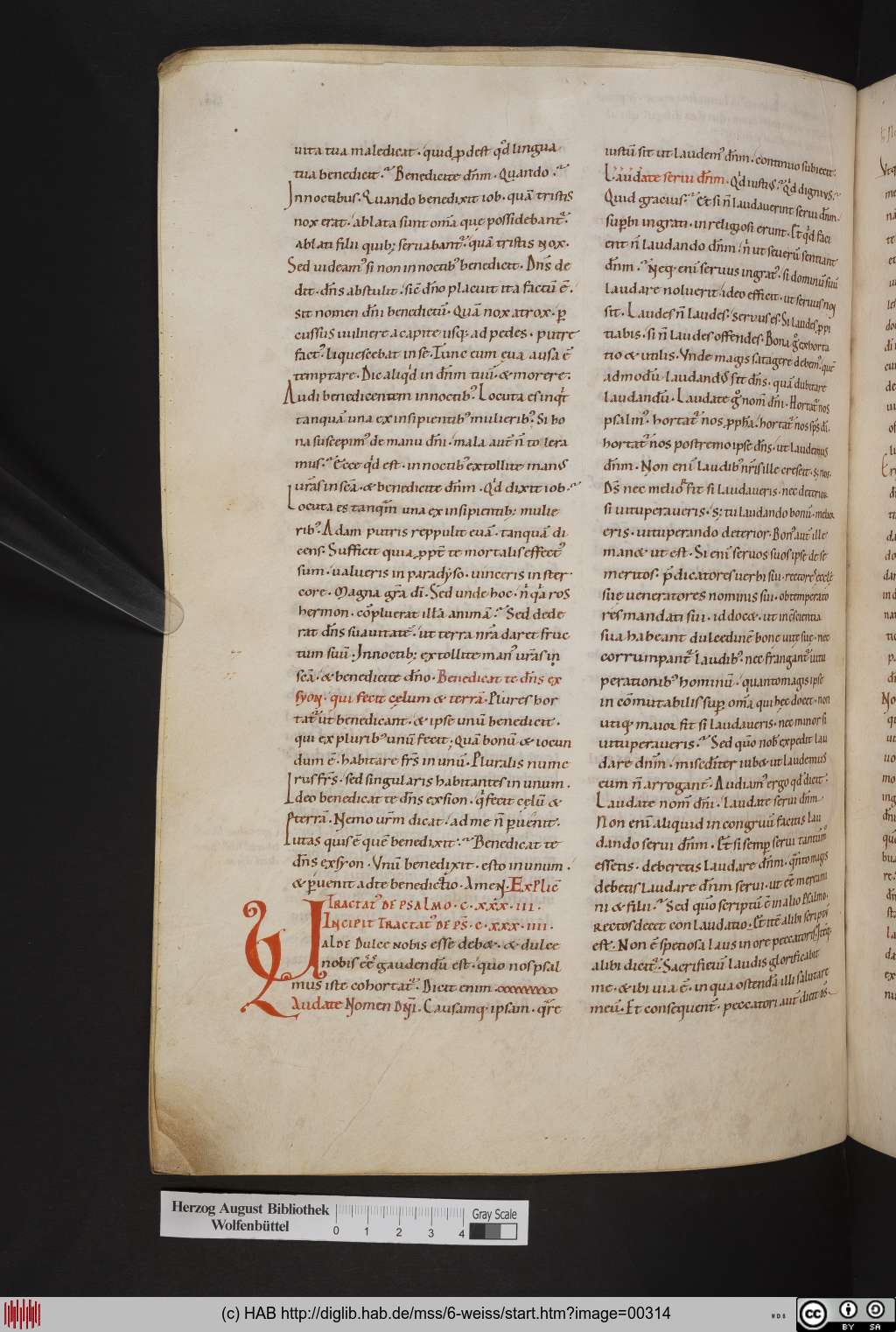 http://diglib.hab.de/mss/6-weiss/00314.jpg