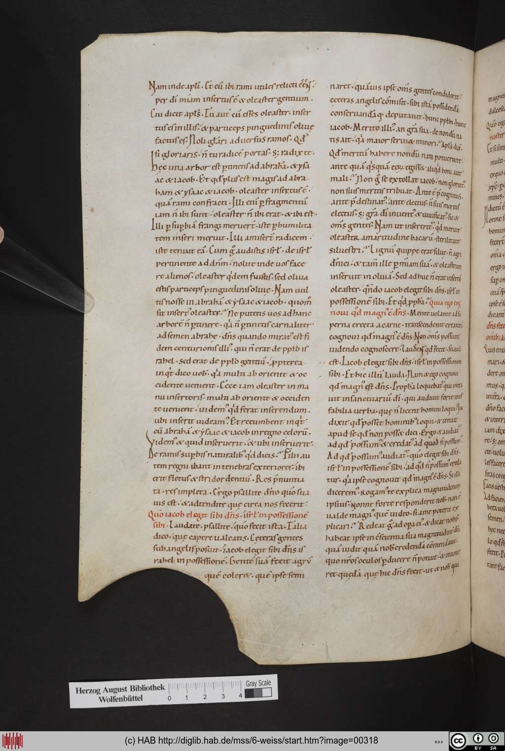 http://diglib.hab.de/mss/6-weiss/00318.jpg