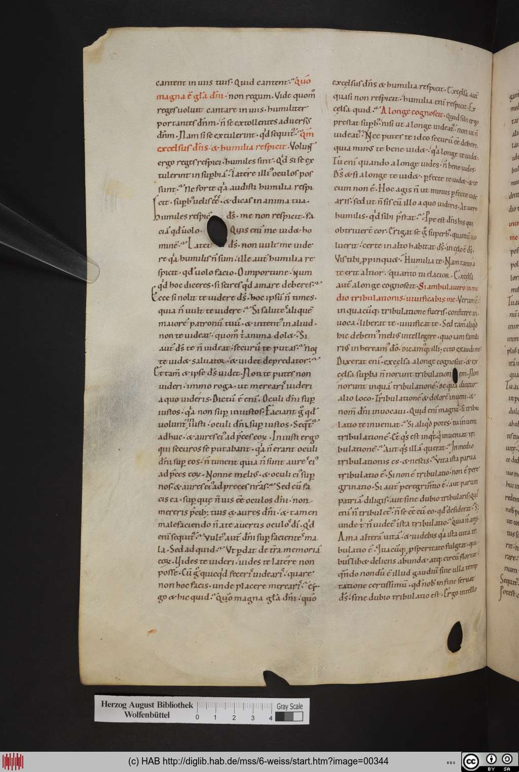 http://diglib.hab.de/mss/6-weiss/00344.jpg