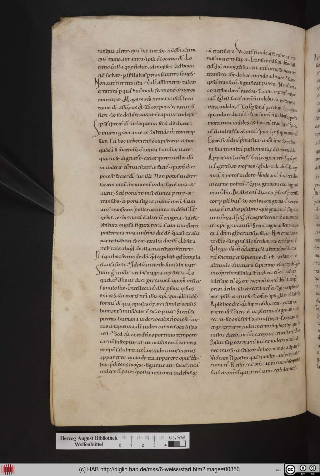 http://diglib.hab.de/mss/6-weiss/00350.jpg
