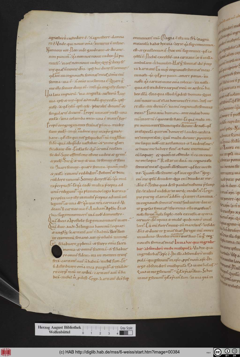 http://diglib.hab.de/mss/6-weiss/00384.jpg