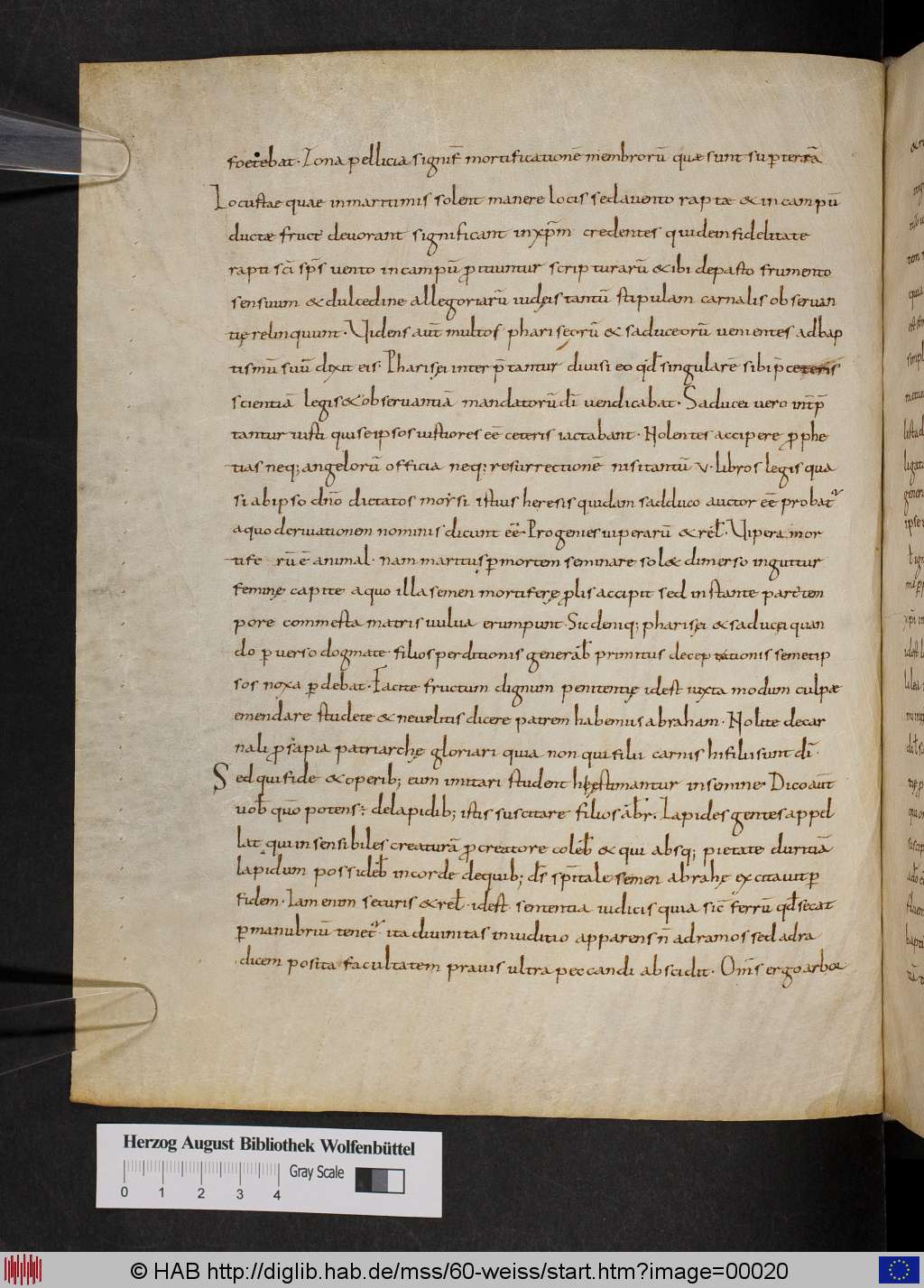 http://diglib.hab.de/mss/60-weiss/00020.jpg
