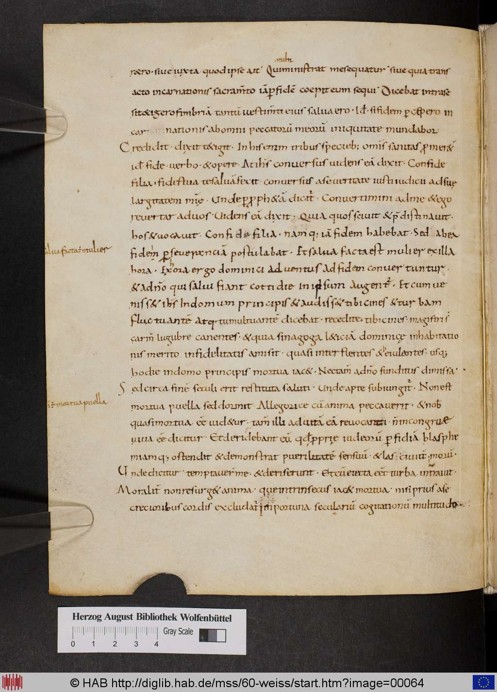 http://diglib.hab.de/mss/60-weiss/00064.jpg