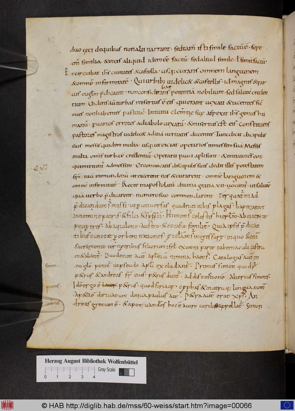 http://diglib.hab.de/mss/60-weiss/00066.jpg