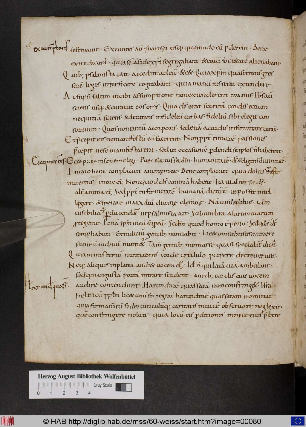 http://diglib.hab.de/mss/60-weiss/00080.jpg