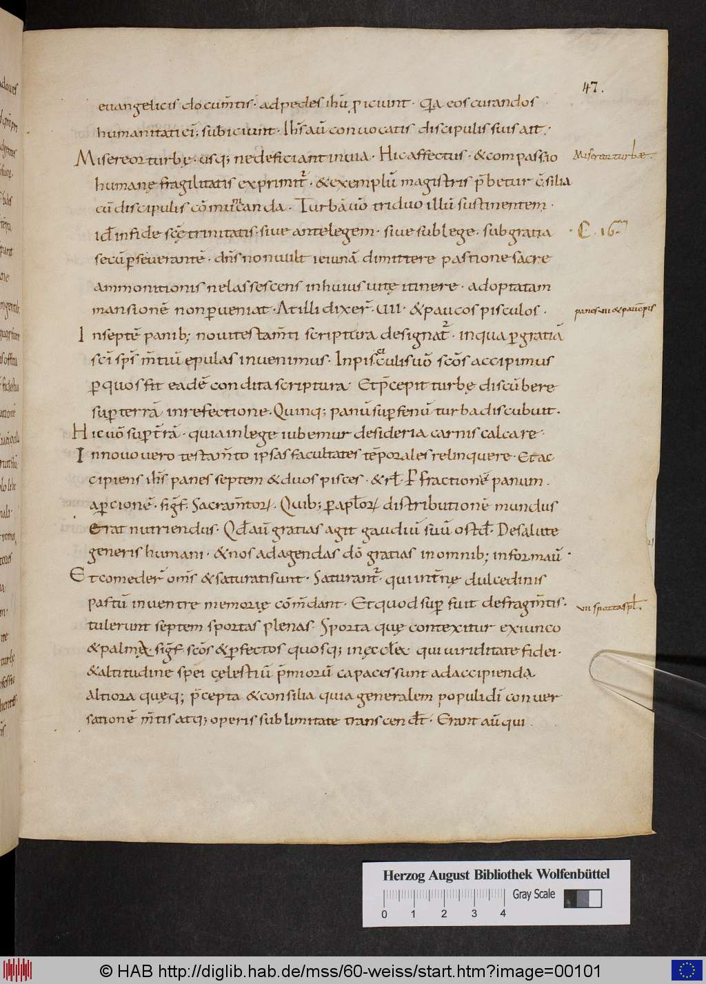 http://diglib.hab.de/mss/60-weiss/00101.jpg