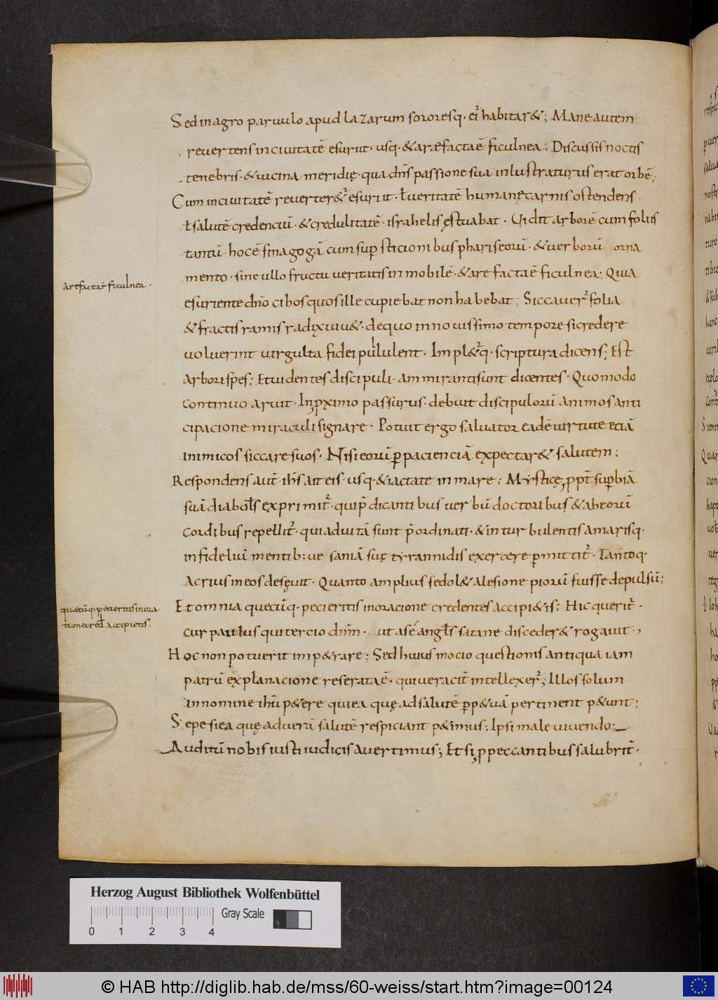 http://diglib.hab.de/mss/60-weiss/00124.jpg