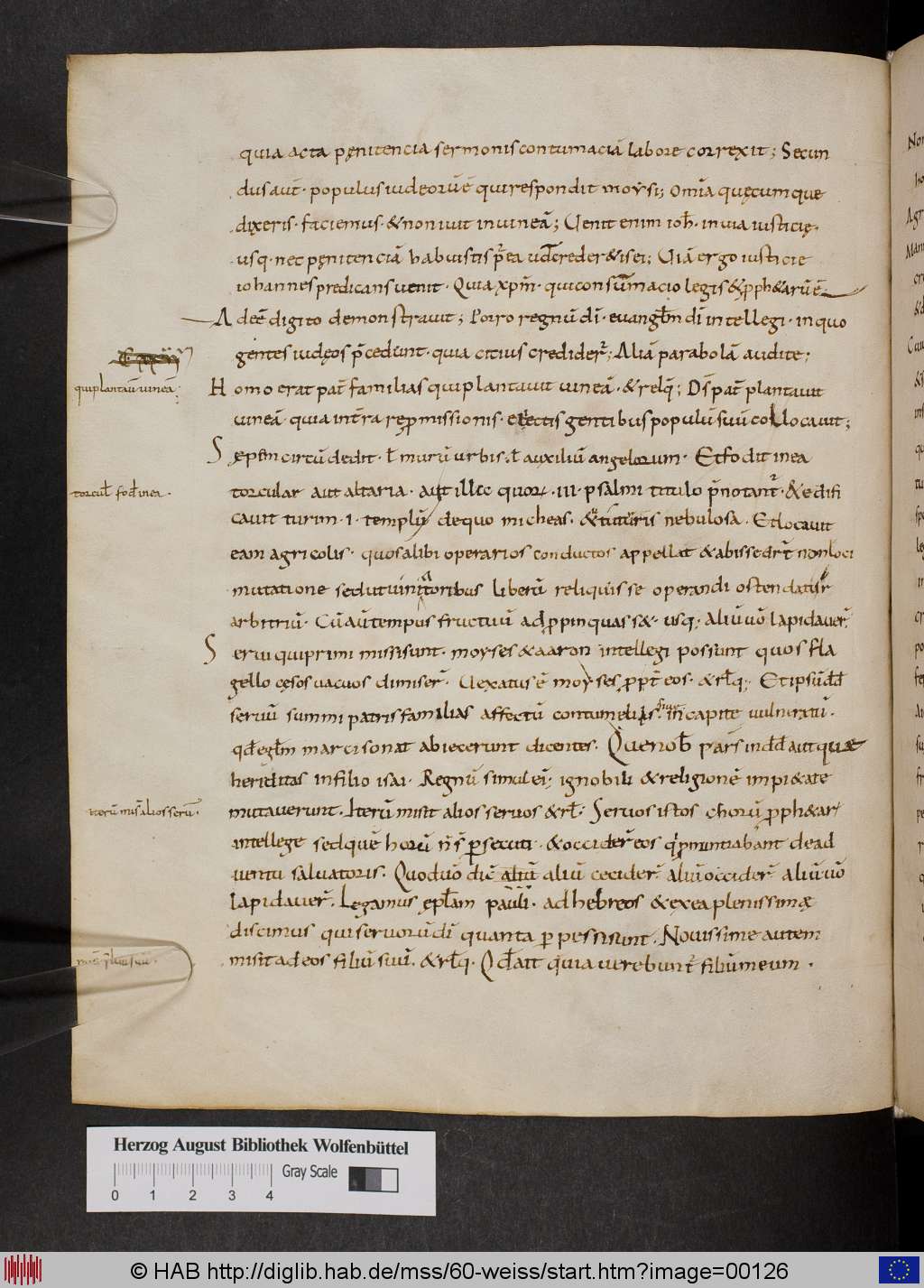 http://diglib.hab.de/mss/60-weiss/00126.jpg