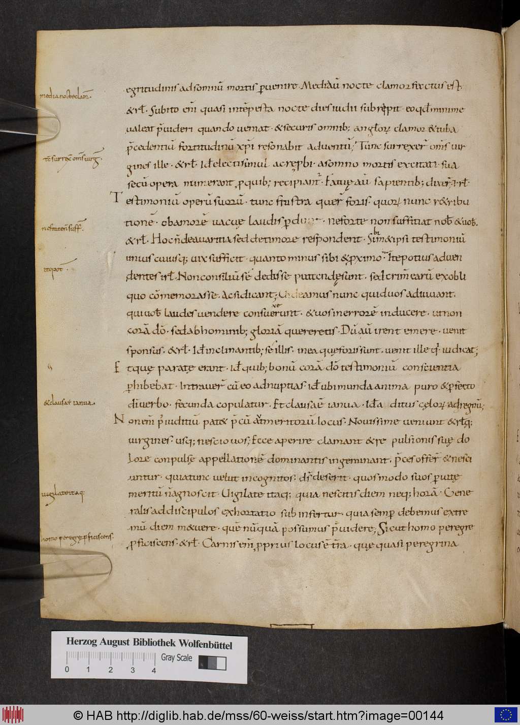 http://diglib.hab.de/mss/60-weiss/00144.jpg