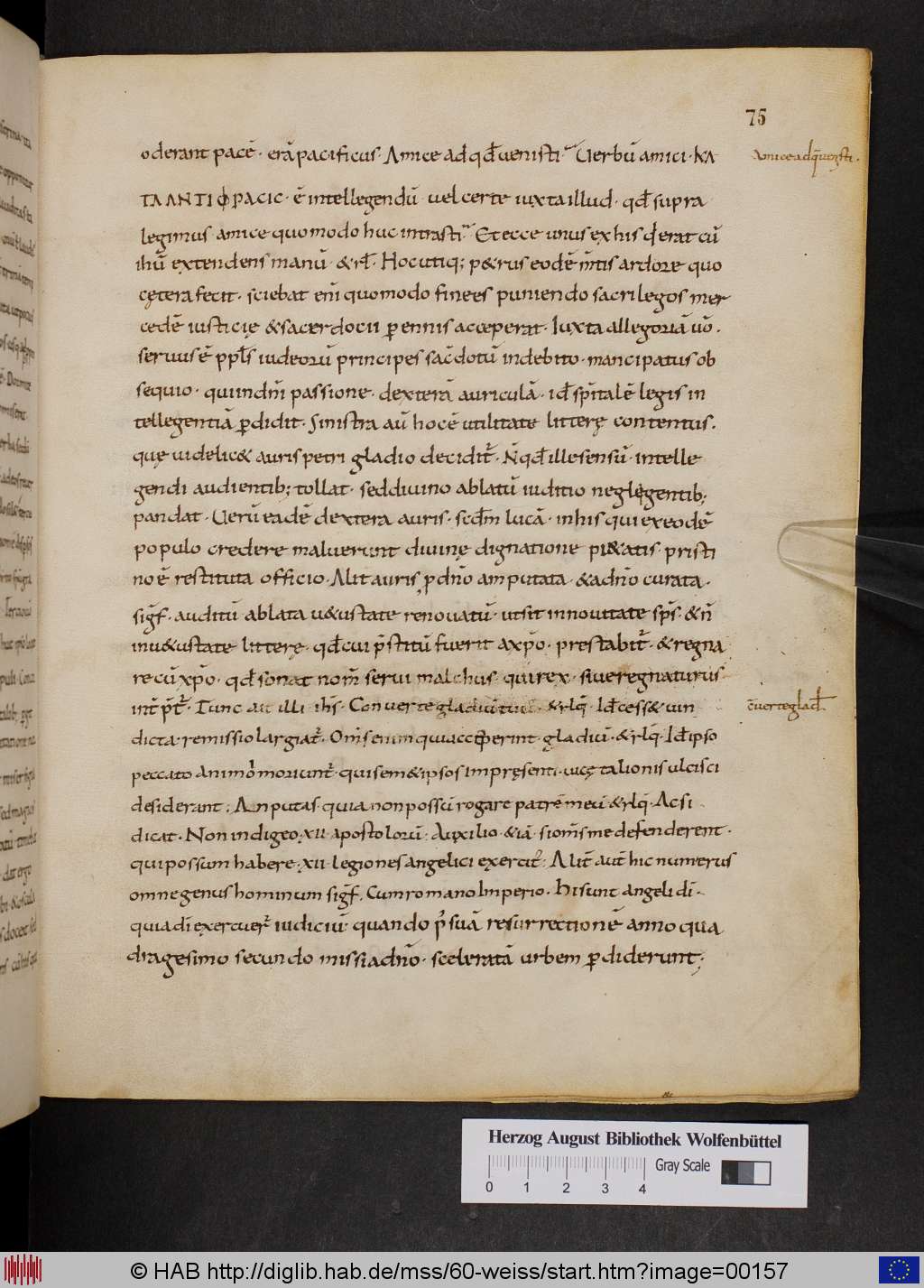 http://diglib.hab.de/mss/60-weiss/00157.jpg