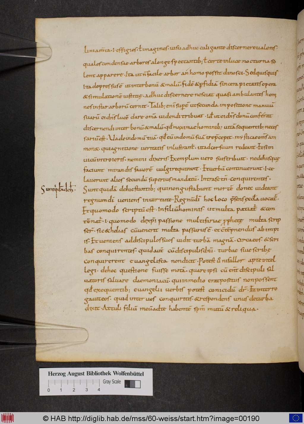 http://diglib.hab.de/mss/60-weiss/00190.jpg