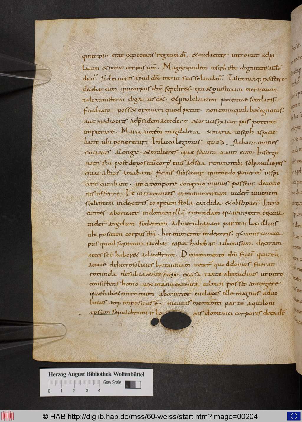 http://diglib.hab.de/mss/60-weiss/00204.jpg