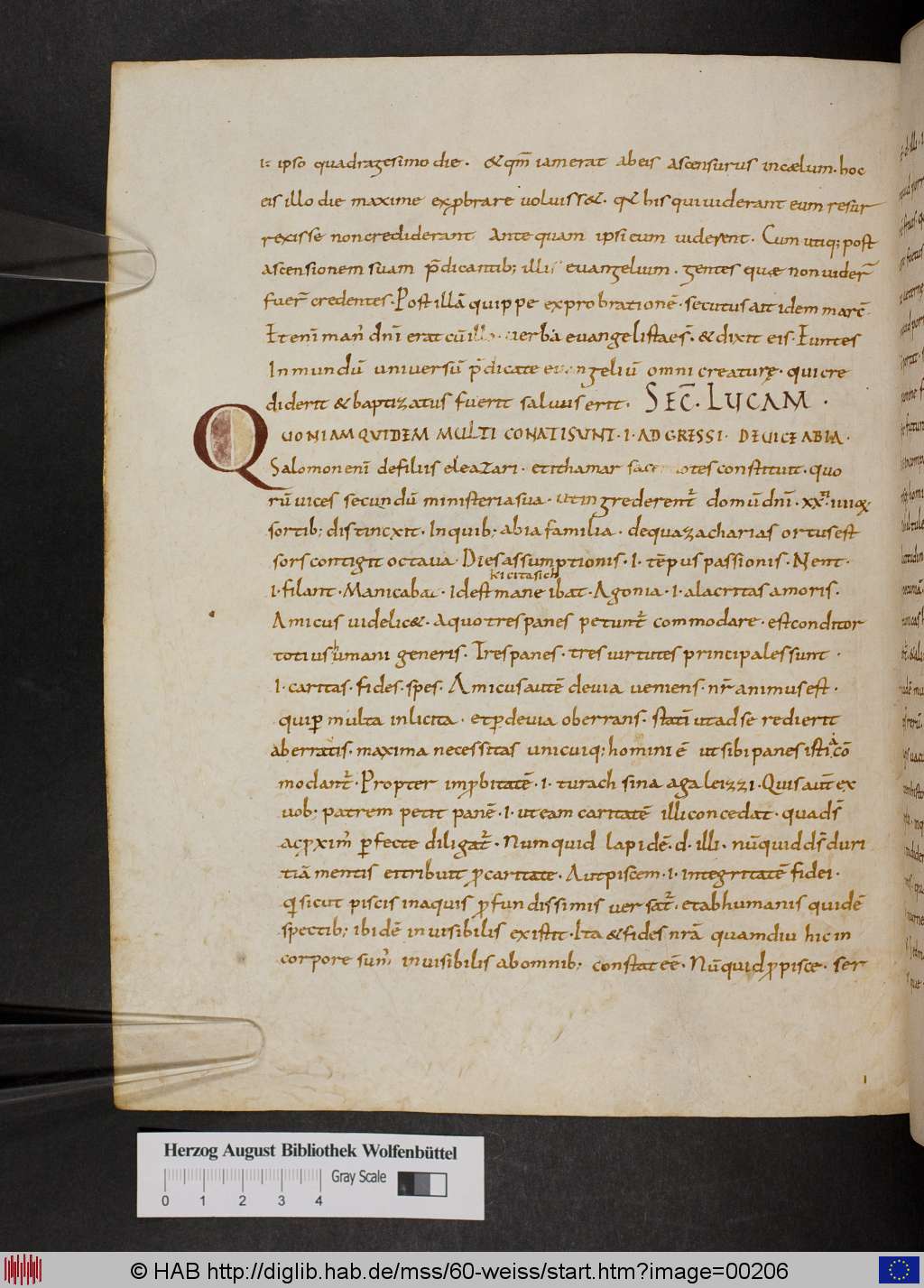 http://diglib.hab.de/mss/60-weiss/00206.jpg