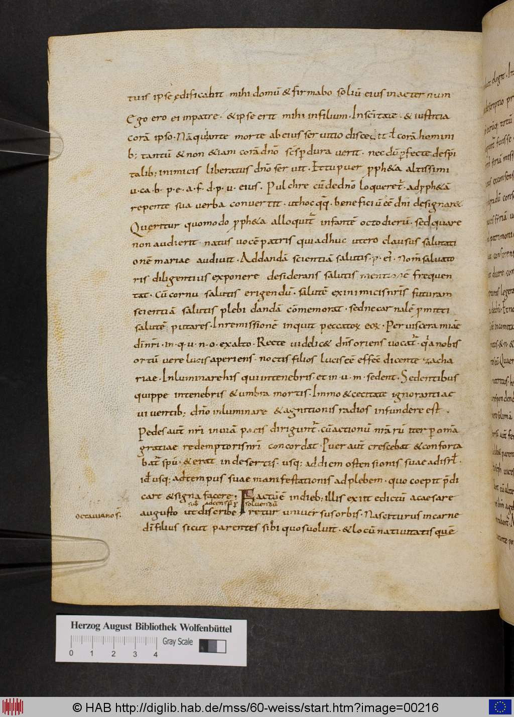 http://diglib.hab.de/mss/60-weiss/00216.jpg
