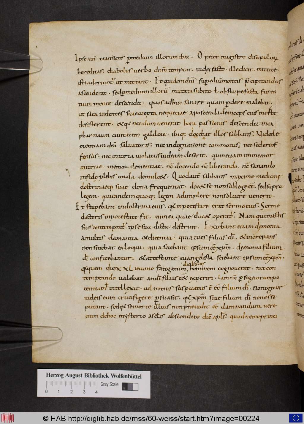 http://diglib.hab.de/mss/60-weiss/00224.jpg