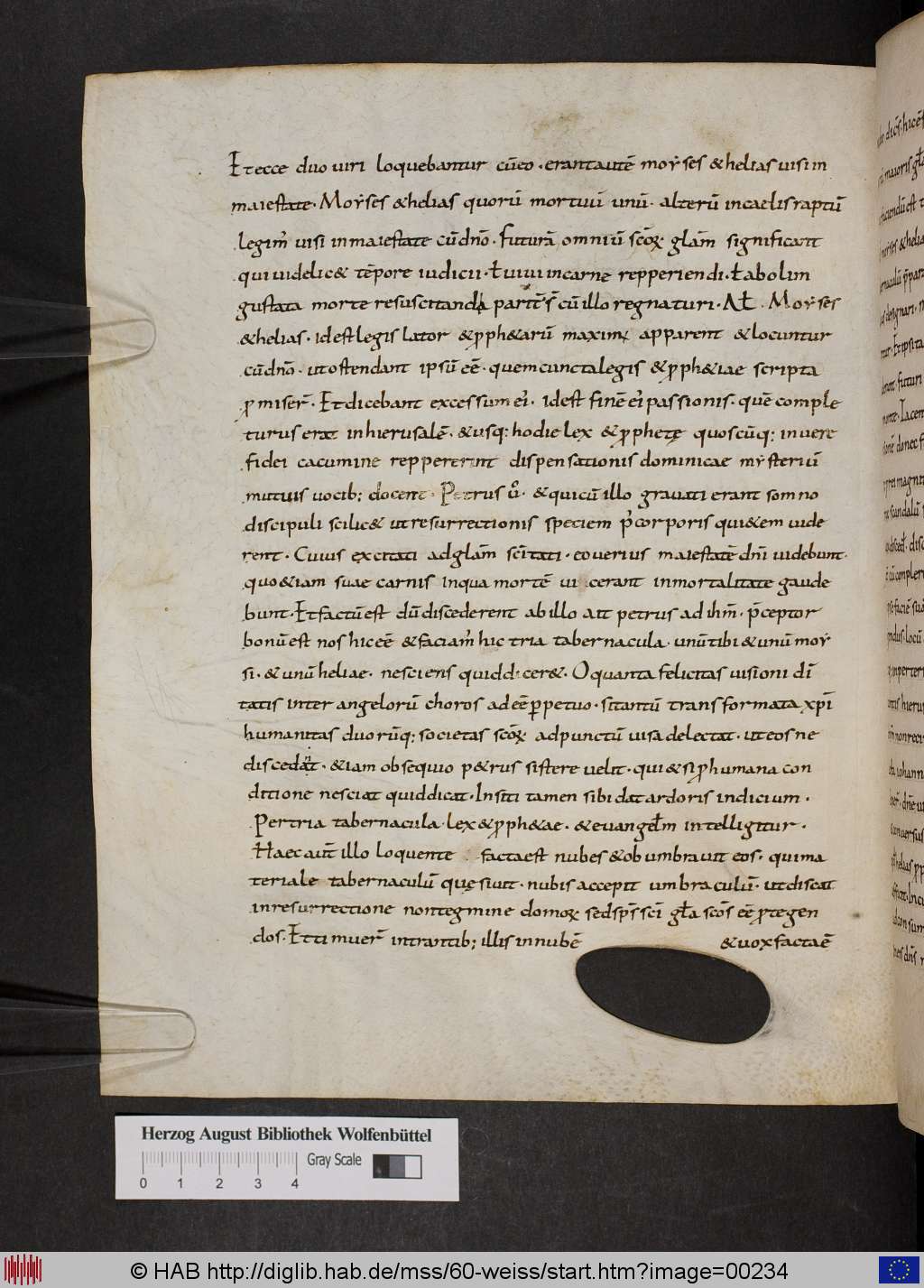 http://diglib.hab.de/mss/60-weiss/00234.jpg