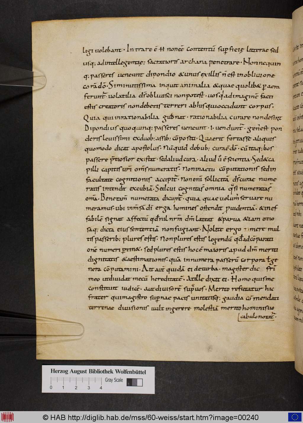 http://diglib.hab.de/mss/60-weiss/00240.jpg