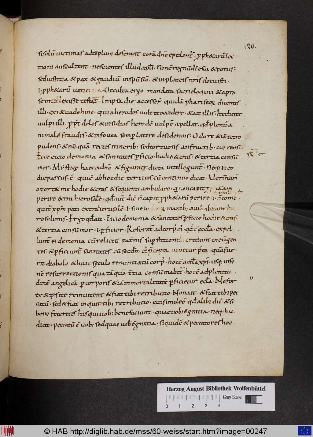http://diglib.hab.de/mss/60-weiss/00247.jpg