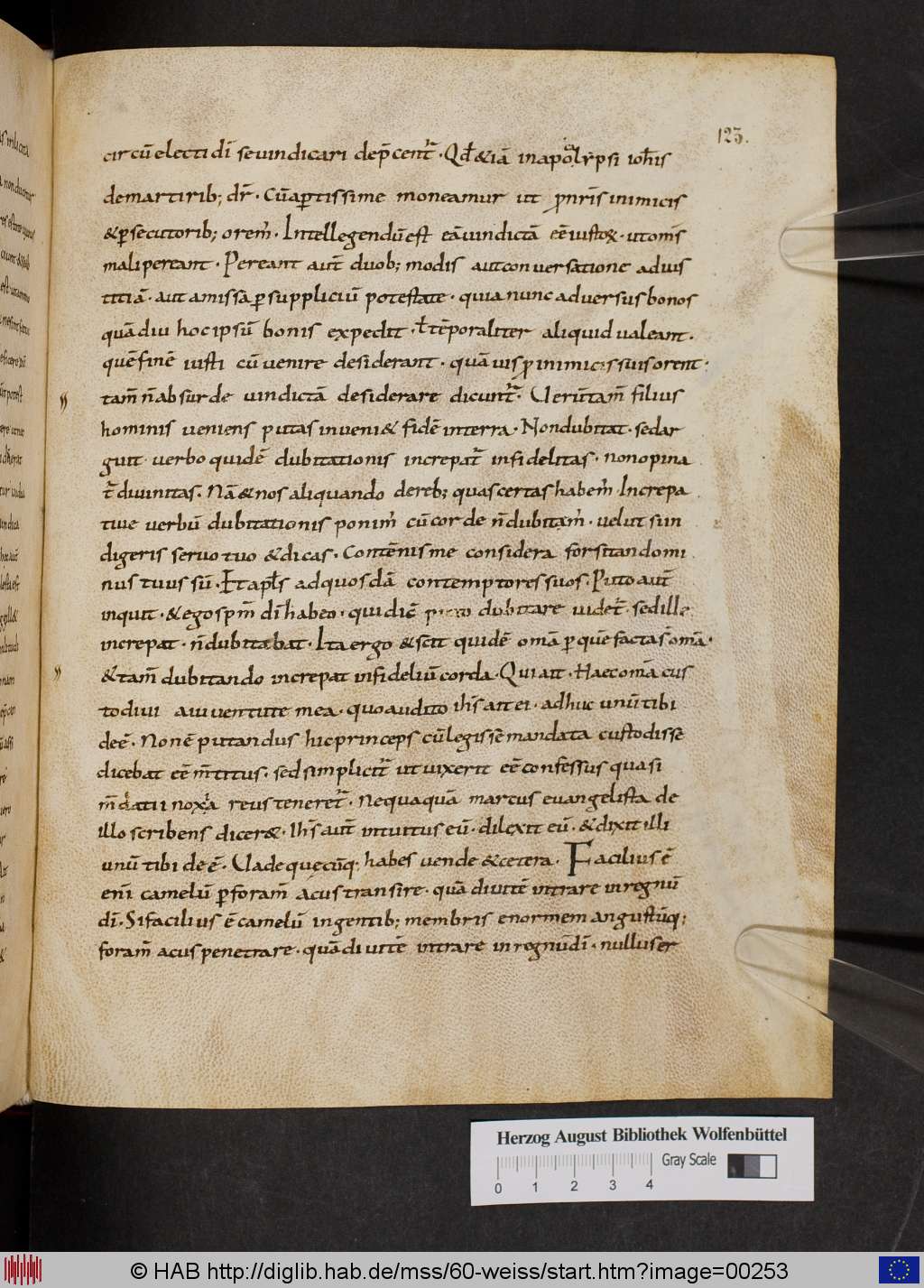 http://diglib.hab.de/mss/60-weiss/00253.jpg