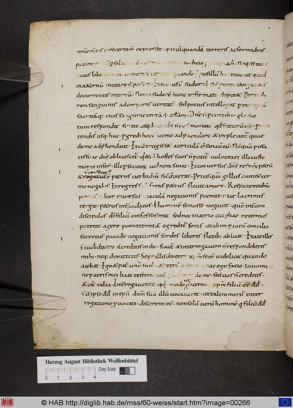 http://diglib.hab.de/mss/60-weiss/00266.jpg