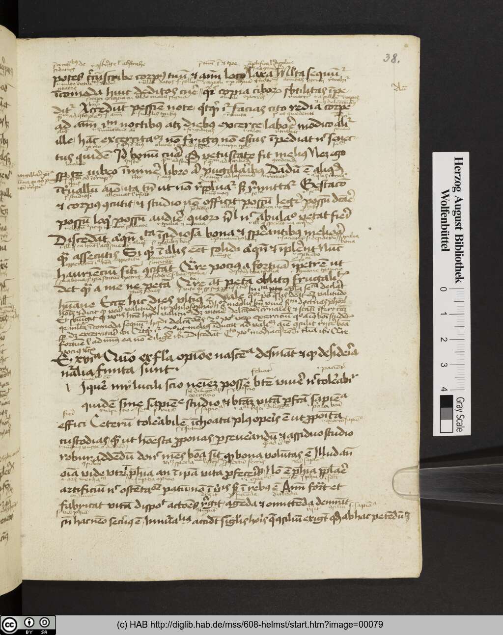 http://diglib.hab.de/mss/608-helmst/00079.jpg