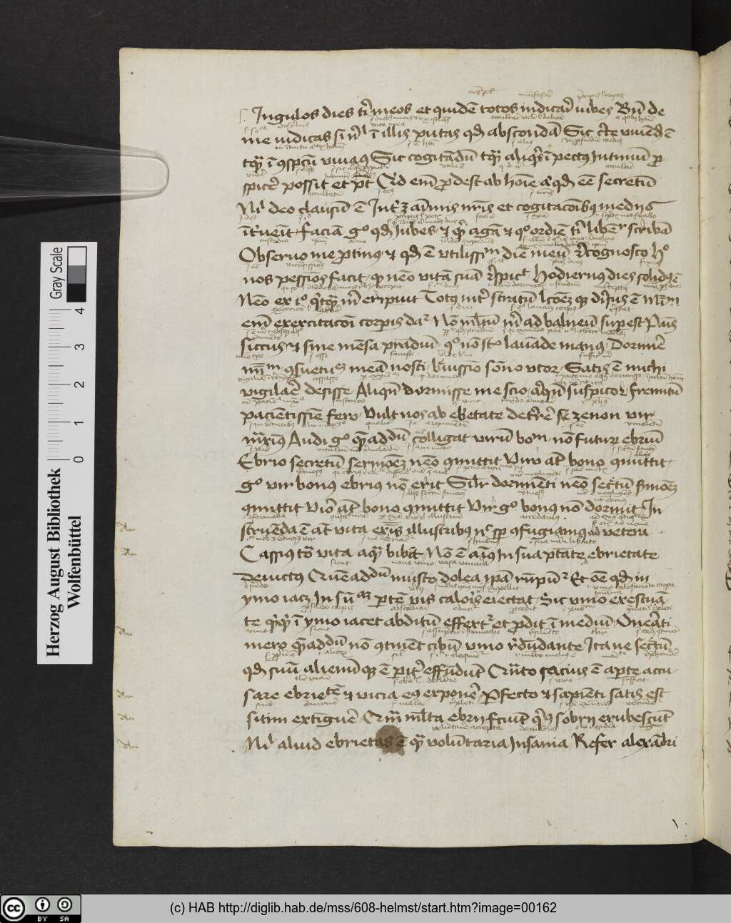 http://diglib.hab.de/mss/608-helmst/00162.jpg
