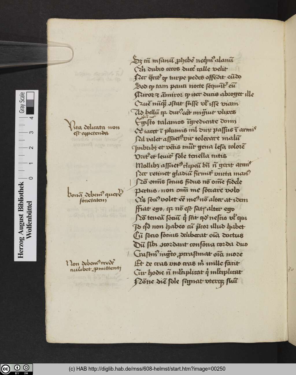 http://diglib.hab.de/mss/608-helmst/00250.jpg