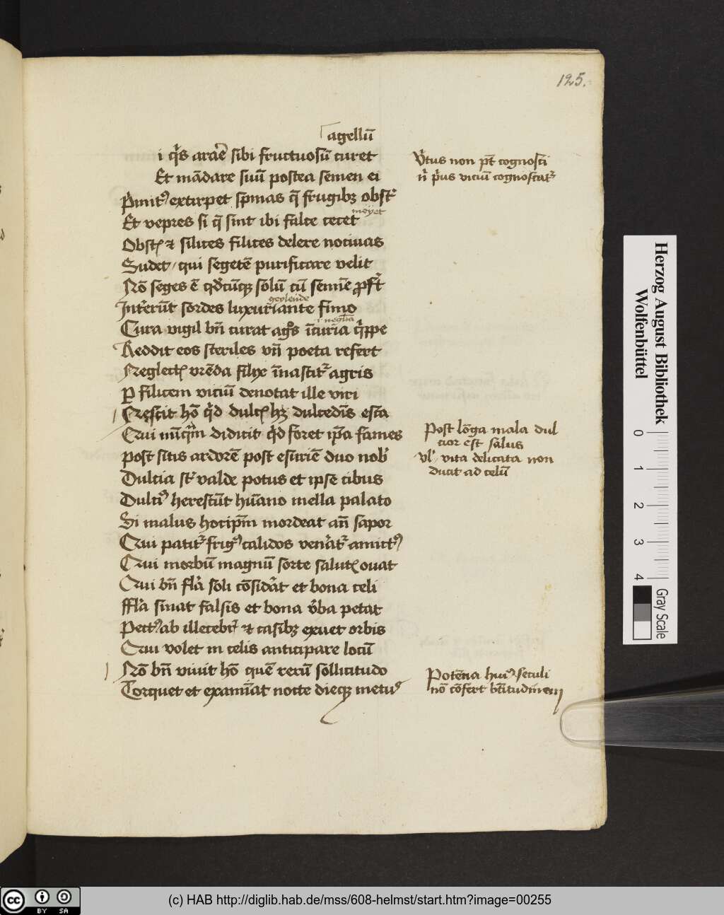 http://diglib.hab.de/mss/608-helmst/00255.jpg