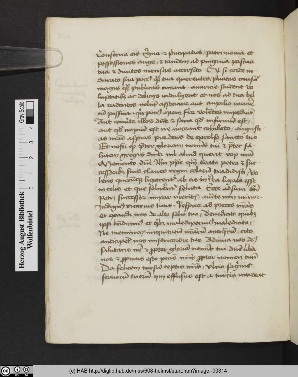 http://diglib.hab.de/mss/608-helmst/00314.jpg